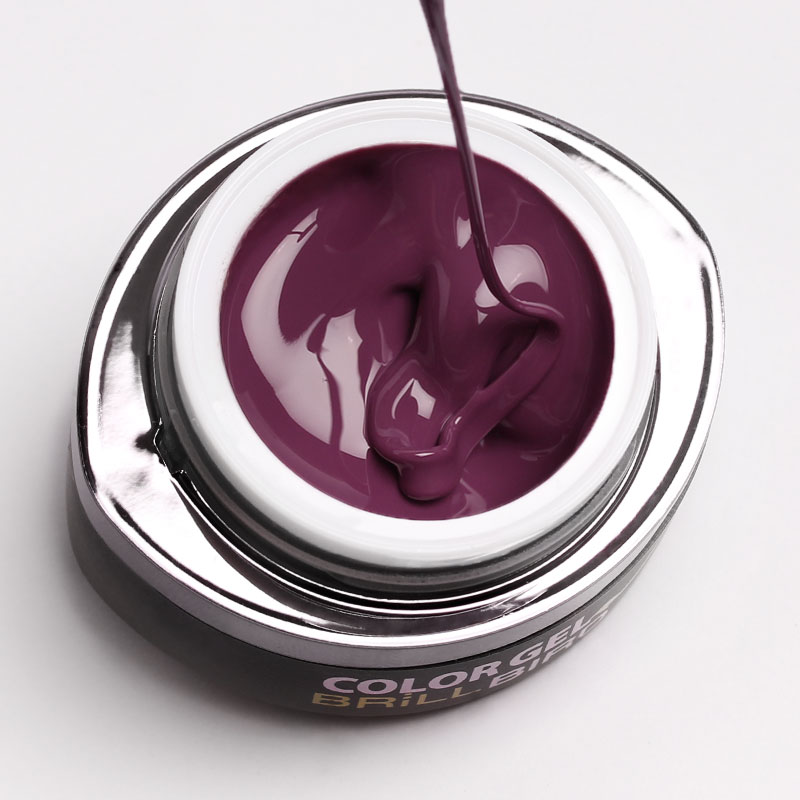 Brush & Go Gel G26 4.5ml Brillbird Swiss