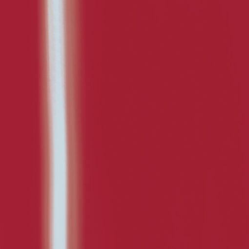 GELONE – 30 Wild Amaryllis - Image 2