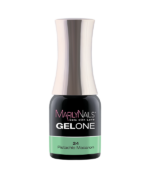 GELONE – 24 Pistachio Macaron