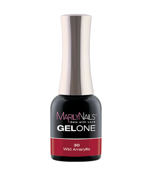GELONE – 30 Wild Amaryllis - Image 1