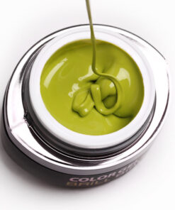 Brush & Go Gel G22 – 4.5ml