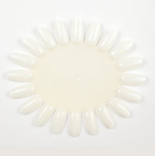 Farb Display Nature 1stk - Image 1