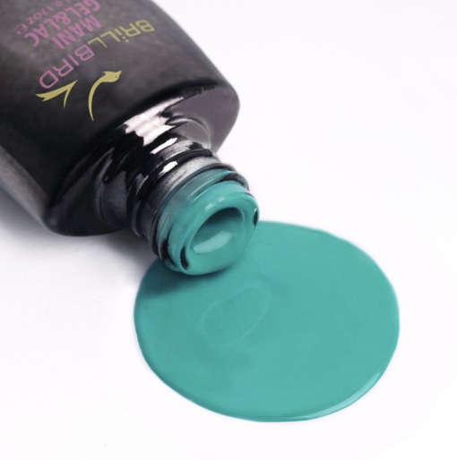Color Mani Gel&lac C65 15ml - Image 1