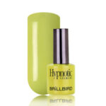 Hypnotic G&L “73” – 8ml - Image 3
