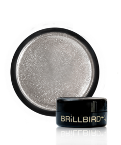 Chrome Pigment Silver