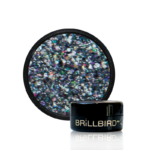 Dual Holo Glitzer - H1