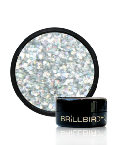 Dual Holo Glitzer - H6