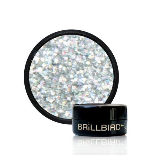 Dual Holo Glitzer - H6 - Image 1